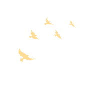 20240506101151_1407