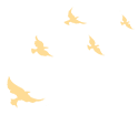 20241211145632_7548