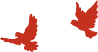 20250905134906_6534 20250905134906_6534